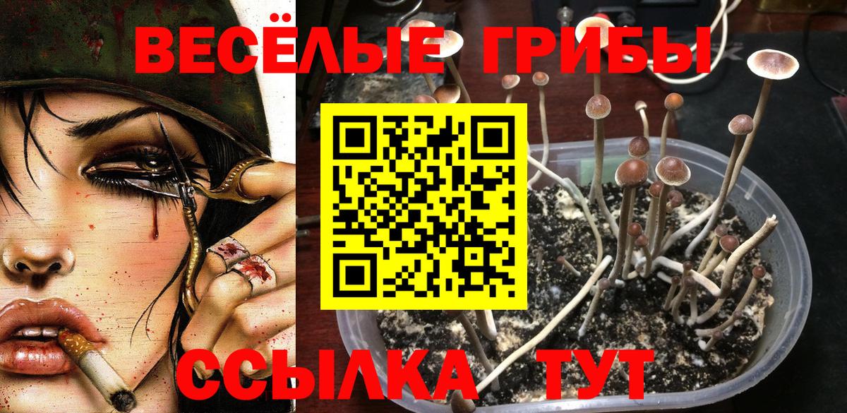 Тверь  Псилоцибиновые грибы ЛСД  Вход с VPN 
