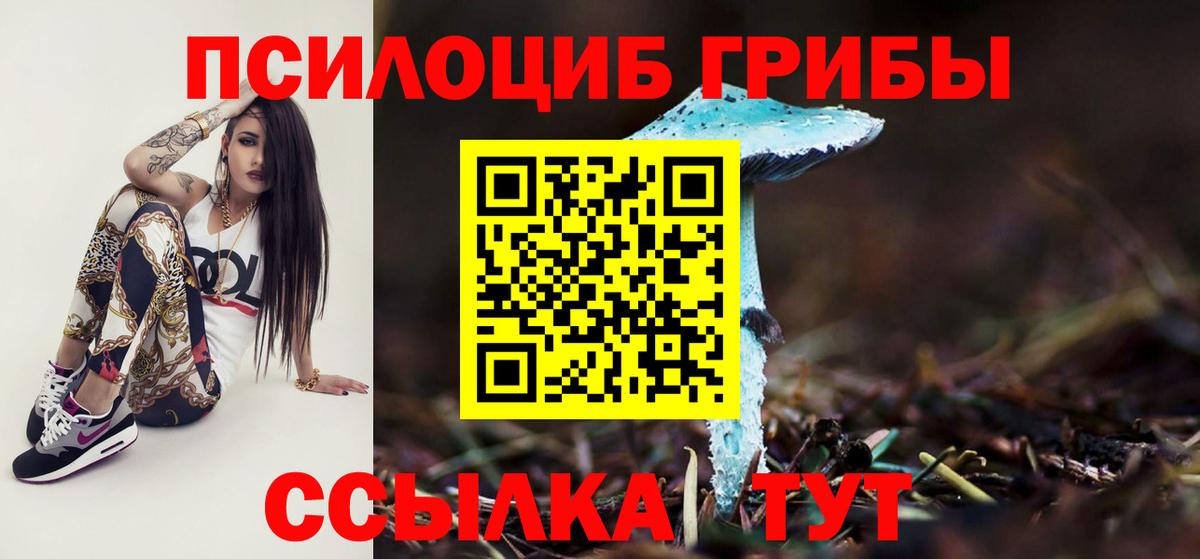 Псилоцибиновые грибы ЛСД Тверь